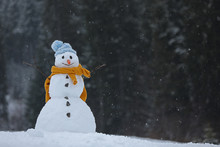 Adorable Smiling Snowman Outdoors On Winter Day. Space For Text