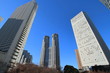 東京西新宿にあるツインタワーの東京都庁とビル群