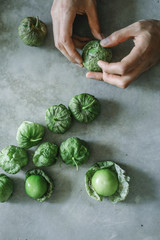 Wall Mural - Chef peeling fresh green tomatillos