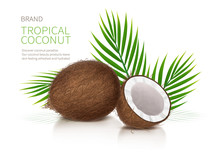 Tropical Coconut Realistic Vector, Whole And Broken Half Coco Nut And Green Palm Leaves On White Glossy Background. Mock Up Banner Or Packaging Design For Natural Products Or Organic Cosmetics