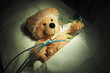Teddy Patient