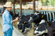 © torwaiphoto - Farmer have recording details on the tablet of each cow on the farm.
