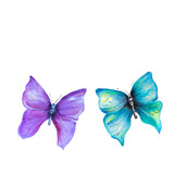 Fototapeta Motyle - Watercolor hand drawn butterflys