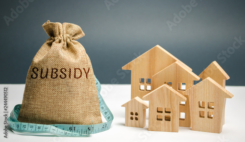 Fotomural Money bag with the word Subsidy and wooden houses