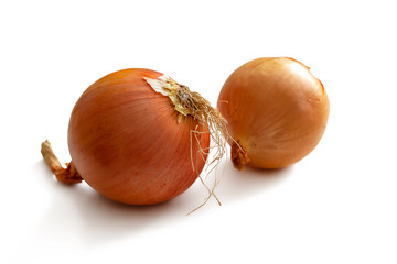 Two onions