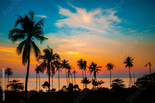 Fotografía Palm trees at sunset, Koh Chang