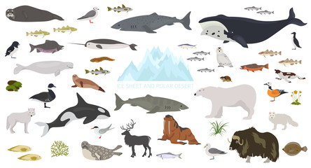 ice sheet and polar desert biome. terrestrial ecosystem world map. arctic animals, birds, fish and p