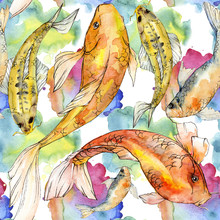 Watercolor Aquatic Underwater Colorful Tropical Fish Set. Red Sea And Exotic Fishes Inside: Golden Fish.