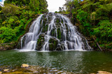 Fototapeta Krajobraz - Owharoa Falls New Zealand 
