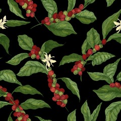 Poster - Botanical seamless pattern with coffea or coffee tree branches, flowers, leaves and ripe fruits or berries on black background. Natural vector illustration in elegant antique style for wrapping paper.