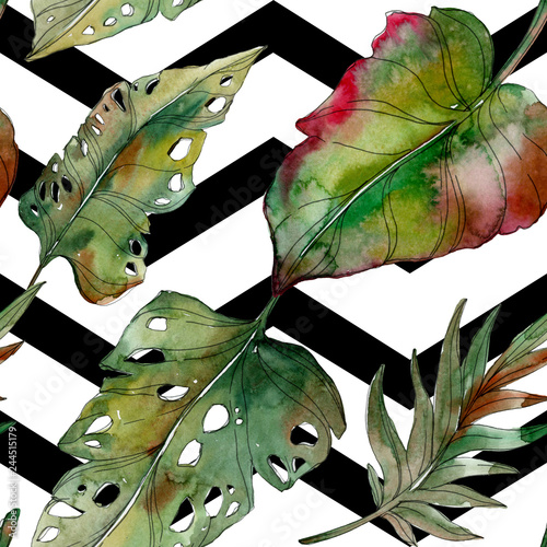 Foto-Lamellenvorhang - Green palm beach tree leaves. Watercolor background illustration set. Seamless background pattern. (von LIGHTFIELD STUDIOS)