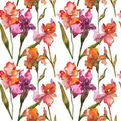 Red and purple floral botanical flower. Watercolor background illustration set. Seamless background pattern.