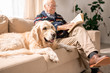 © Seventyfour - Portrait of adorable golden retriever dog sitting on couch with senior man in sunlit living room, copy space