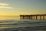 Fototapeta  - pier before the sunset in versilia