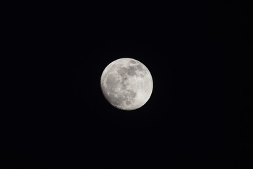 Poster - Waning Gibbous Moon on night sky