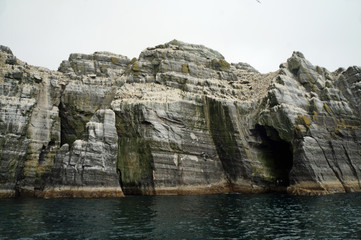 Little Skellig - World's second largest gannet colony