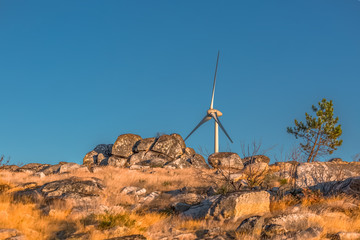 Wall Mural - View of a wind turbine on top of mountains, in Portugal