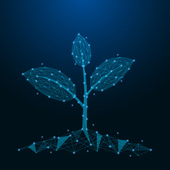 Aufkleber - Sprout of plant made by points and lines. Low poly blue seedling. Polygonal wireframe mesh on night sky. Vector illustration.