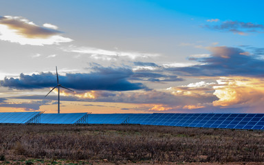 Wall Mural - Photovoltaic and wind plant at sunset