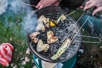 grill on the nature, vegetables grill, wings grill