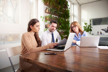 Wall Mural - Group of business people using laptop while working in the office