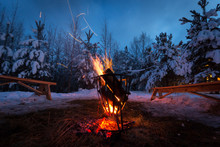 Bonfire In The Winter Forest Illuminates The Snow