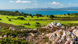 Colourful landscape with rocks, green grass and blue sea on a beautiful summer day. View over a golf course as seen from the top of Ben of Howth, Dublin, Ireland.