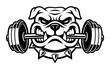 Black and white illustration of a bulldog with dumbbell