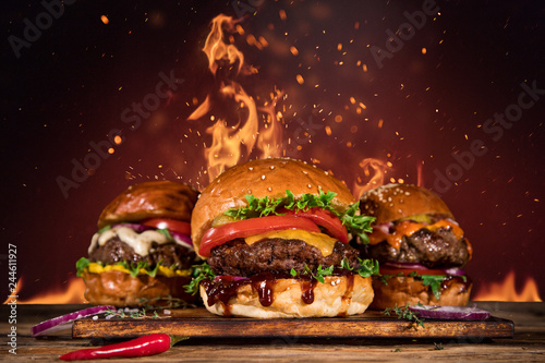 Cuadros en Lienzo Tasty burger with french fries and fire.