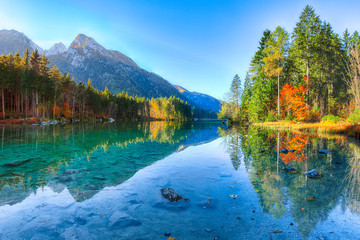 Wall Mural - beautiful autumn sunrise scene with trees near turquoise water of hintersee lake