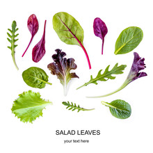 Salad Leaves Pattern. Isolated Mix Salad Leaves With Spinach, Chard, Lettuce, Rucola On The White Background..