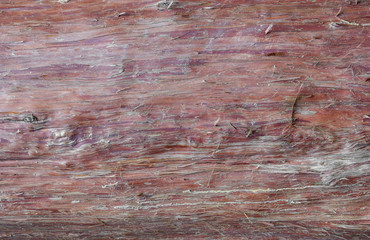 Wall Mural - natural red pine wood inner skin surface texture background.