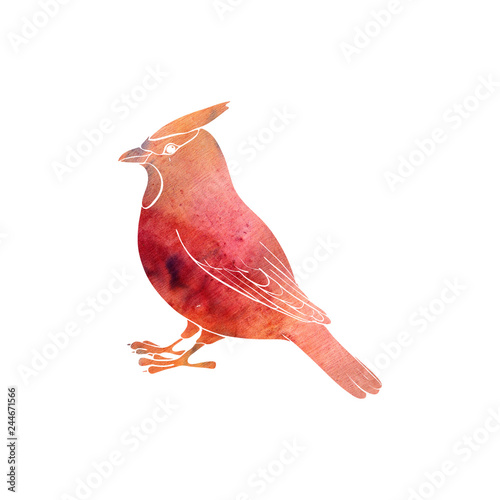 Fotomural watercolor silhouette of bird