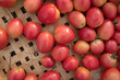Red tomatoes on the basket
