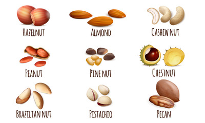 Wall Mural - Nut icons set. Realistic set of nut vector icons for web design isolated on white background