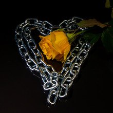 Anti-valentines Day Blank Postcard Rose And Heart Of Chains On A Black Background