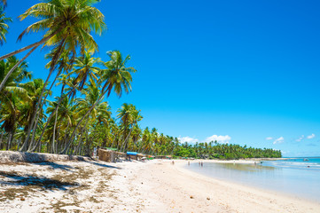 Bright scenic view of Brazilian beach lined with rustic beach shacks under coconut palm trees on a remote island in Bahia, Brazil