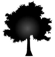 Wall Mural - Tree profile silhouette isolated - black gradient detailed - vector