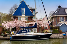 EDAM, NETHERLANDS - APRIL 14, 2018: Traditional Dutch House With Yacht And Blooming Spring Tree On The Canal Waterfront. Edam Is A Small Village In The District Nordholland, Netherlands.