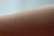 © Goffkein - Goose pimples close up. Skin reaction to cold