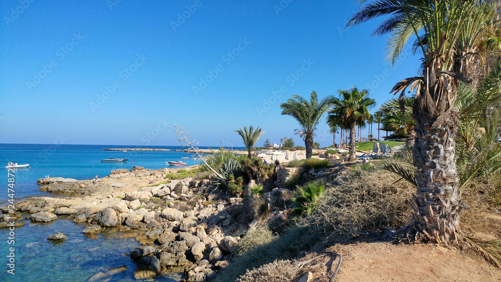 cyprus holiday tropical day - obrazy, fototapety, plakaty 