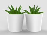 Blank Ceramic Plant Pot Mock up. 3d render illustration.