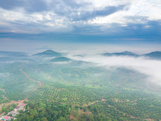 Wall Mural - Aerial view of mountain and morning mist during sunrise.