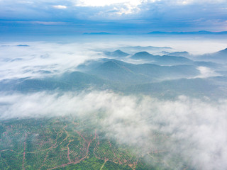 Wall Mural - Ariel view