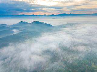 Wall Mural - Aerial view of mountain and morning mist during sunrise.