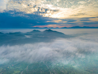 Wall Mural - Aerial view of mountain and morning mist during sunrise.