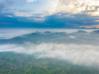 Wall Mural - Aerial view of mountain and morning mist during sunrise.