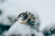 Wedding rings on branch in snow