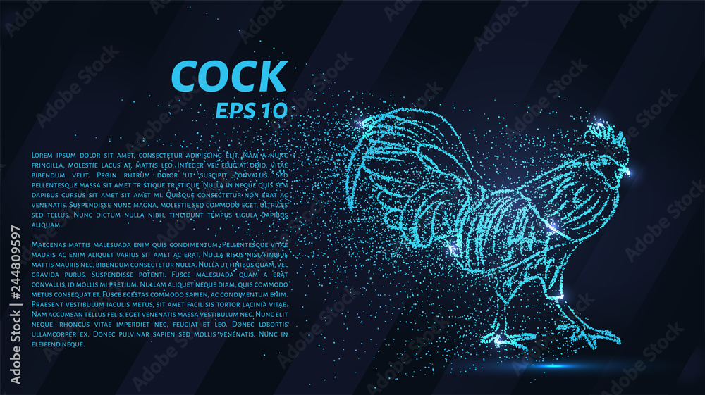 The cock consists of particles. The cock consists of dots and circles. Blue rooster on a dark background. - obrazy, fototapety, plakaty 