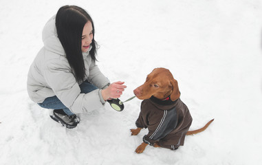 Canvas Print - Owner and a cute brown dog in the clothes sit in the snow and play. Winter walks and dog games in the snow. Dog breed magyar vizsla and girl on winter walk.